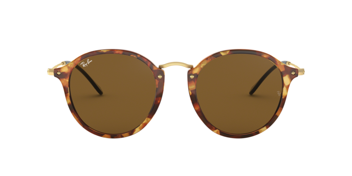Ray Ban RB2447 1160 Round 